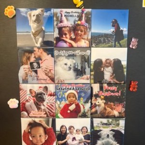 Custom Fridge magnet (12 pack) 25% OFF (Save $15)